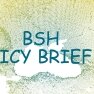 Obstacles, drivers and opportunities to enhance EU-Black Sea STI cooperation [BSH Policy Brief #1] 