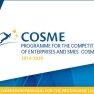 Interim Evaluation of COSME - Open until 31 August